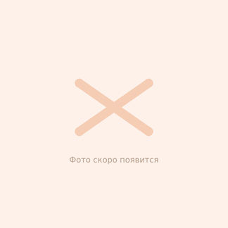 Заполнитель